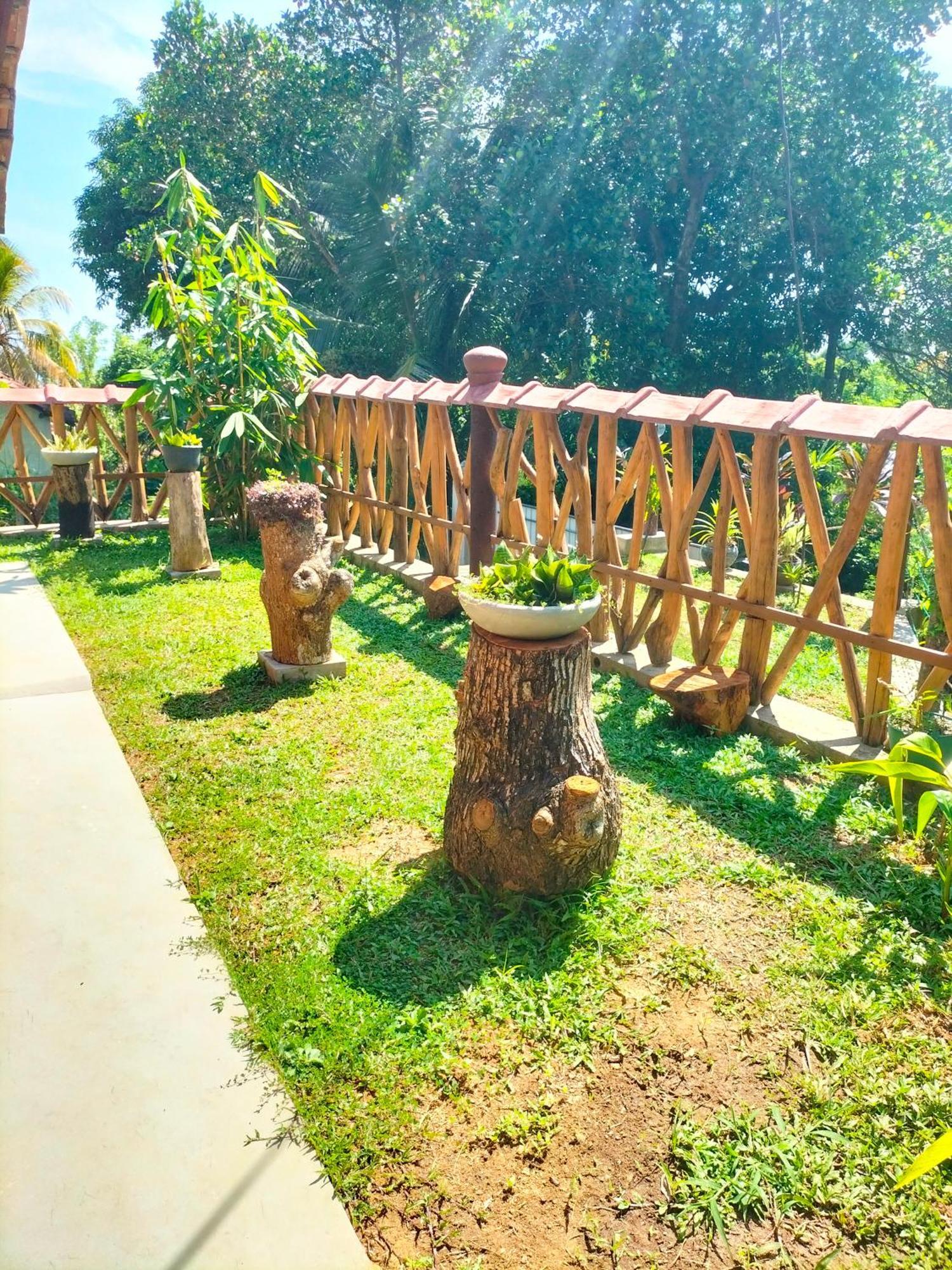 Вилла Blue Ocean Tree House Hiriketiya Диквелла Экстерьер фото